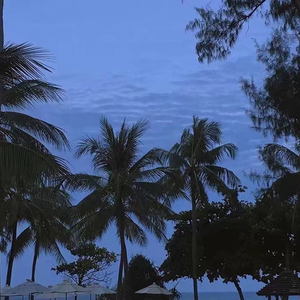 9lporm老熟女自拍
